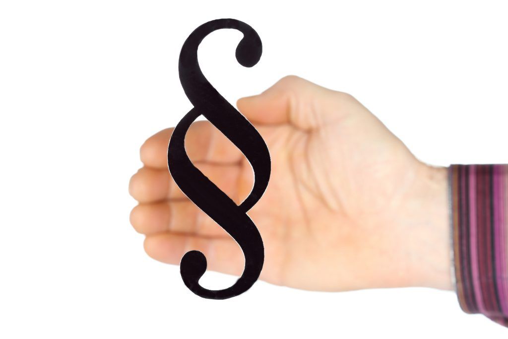 Neue Rechtsform Flexible Kapitalgesellschaft